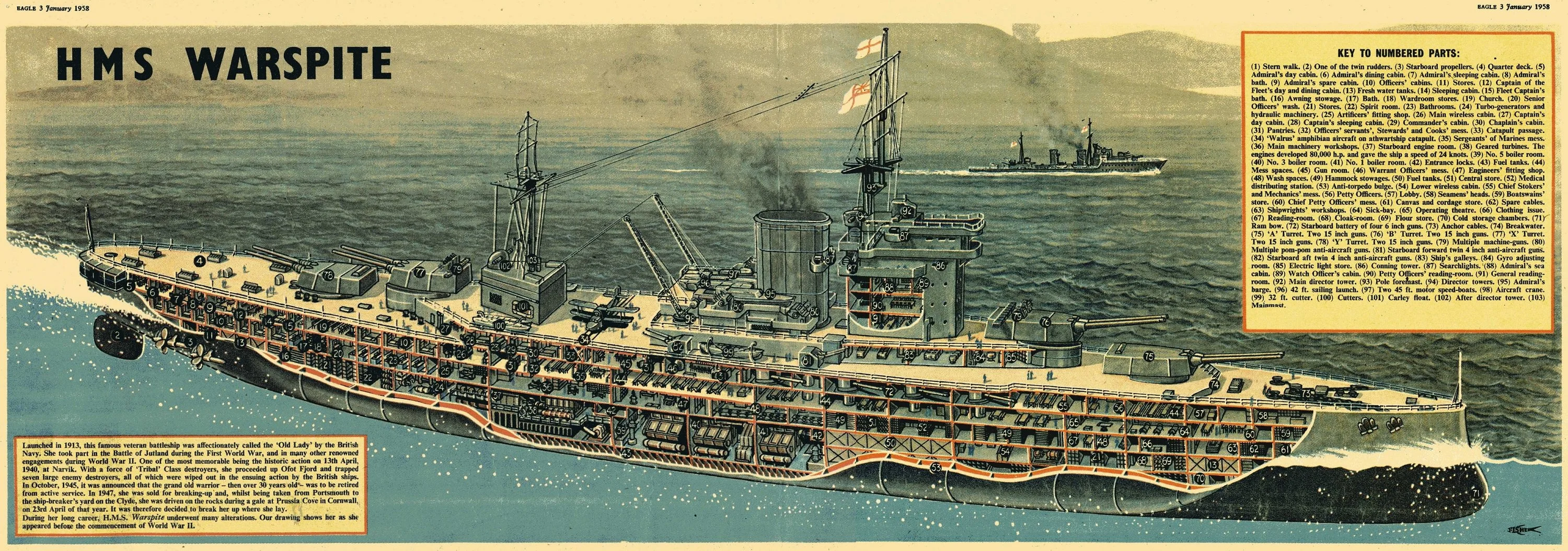 cutaway warspite