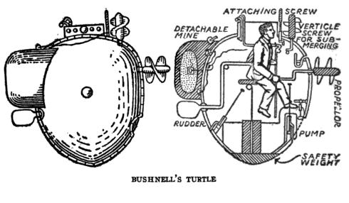 Turtle Bushnell
